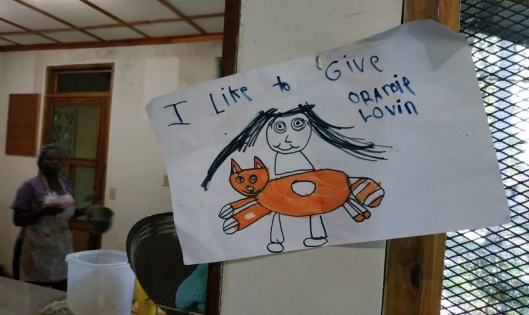 like_to_give_lovin_orpahage_hbs_limbe